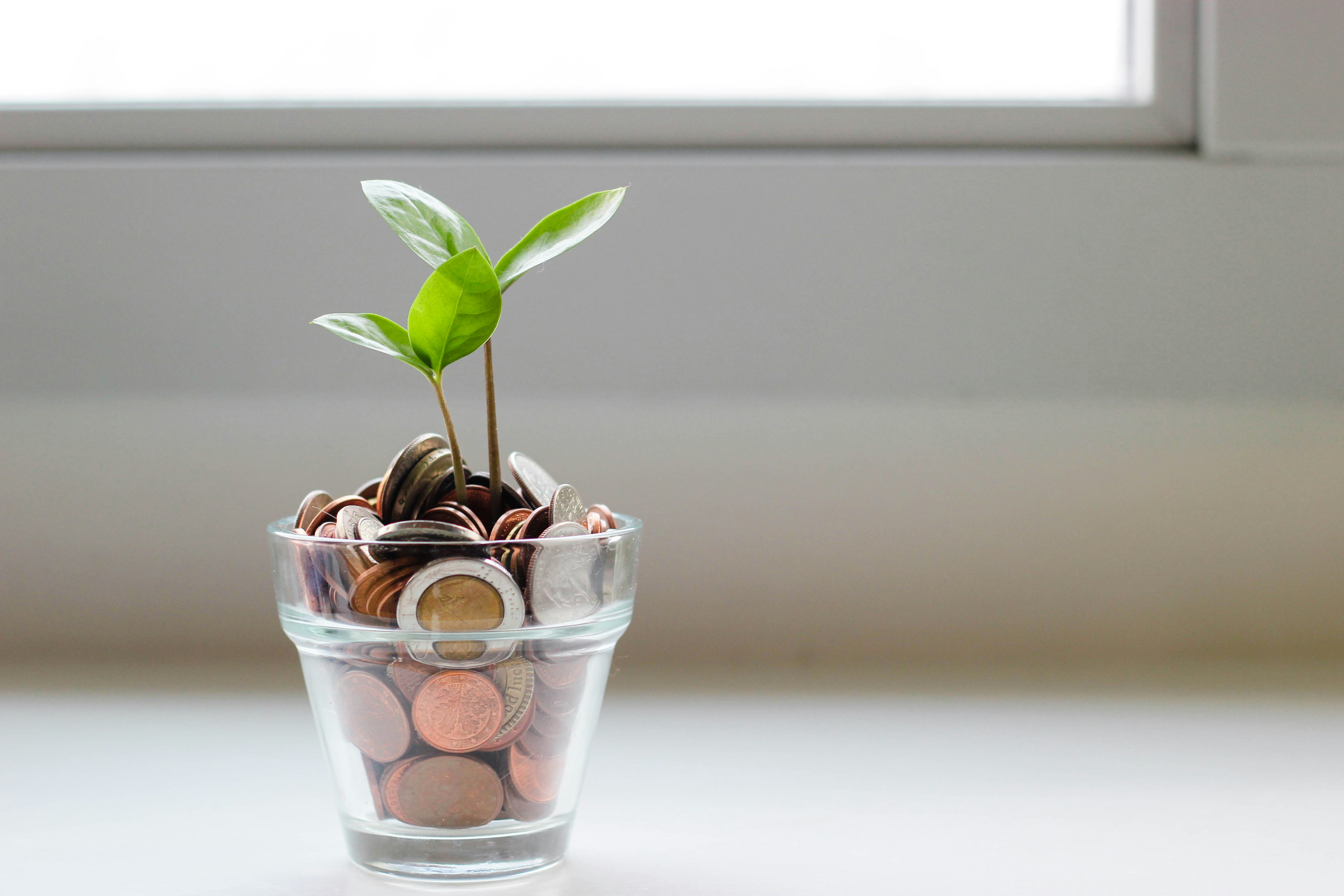 Plant growing from cup of coins illustrates nonprofit financial planning